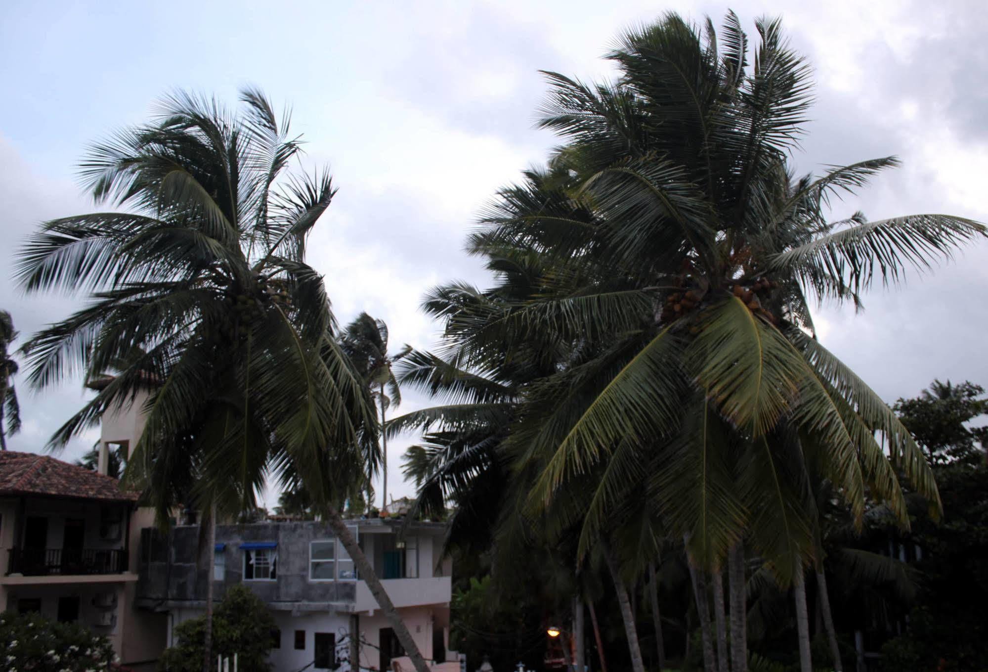 Bedspace Beach Unawatuna Exterior photo